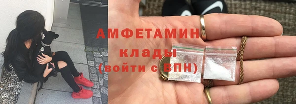 шишки Абаза