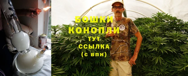 шишки Абаза